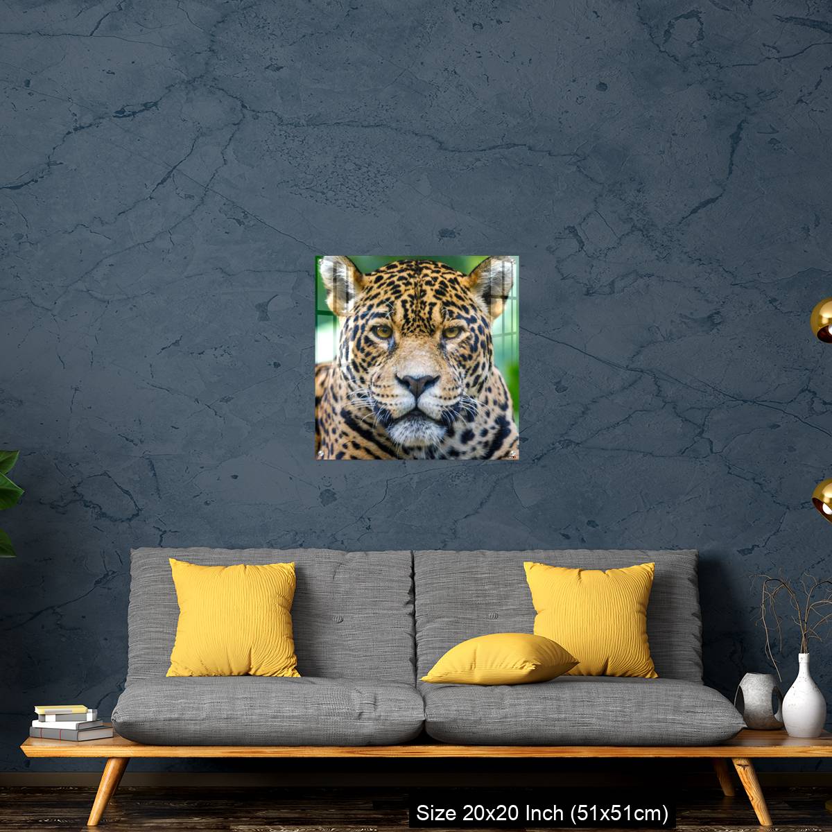 OMGs Acrylic Wall Decor – Jaguar looking at camera - Pantanal wetlands, Brazil - Image 21