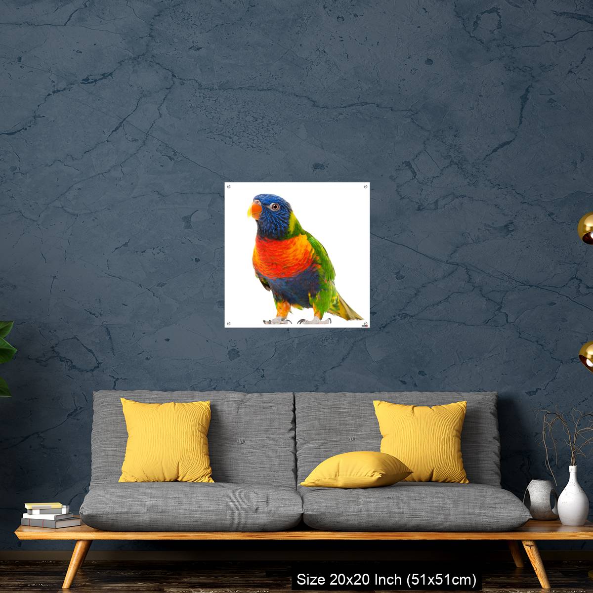 OMGs Acrylic Wall Decor – Rainbow Lorikeet, Trichoglossus haematodus - Image 21