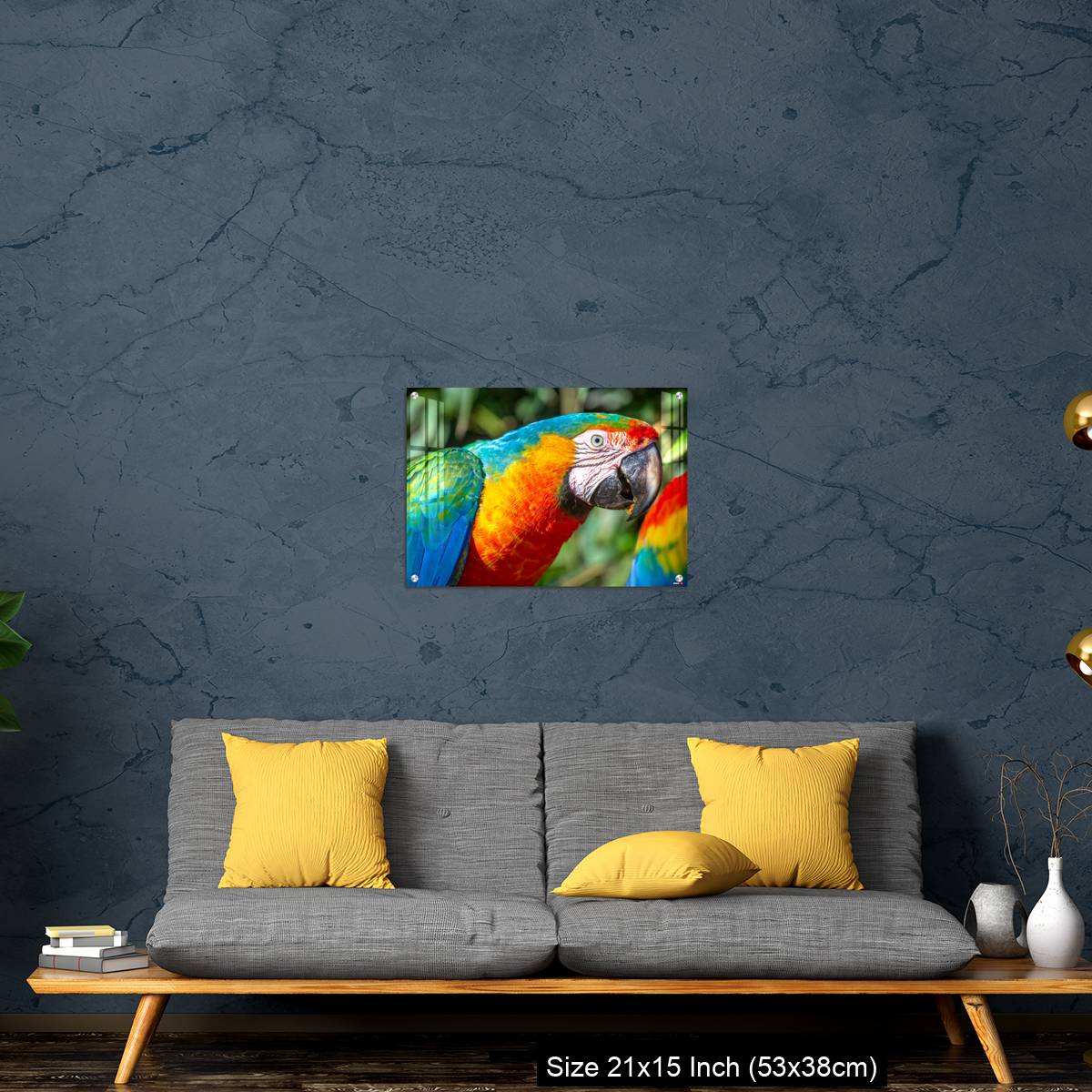 OMGs Acrylic Wall Decor – Colorful Macaw parrot looking at camera in Brazil - Image 21