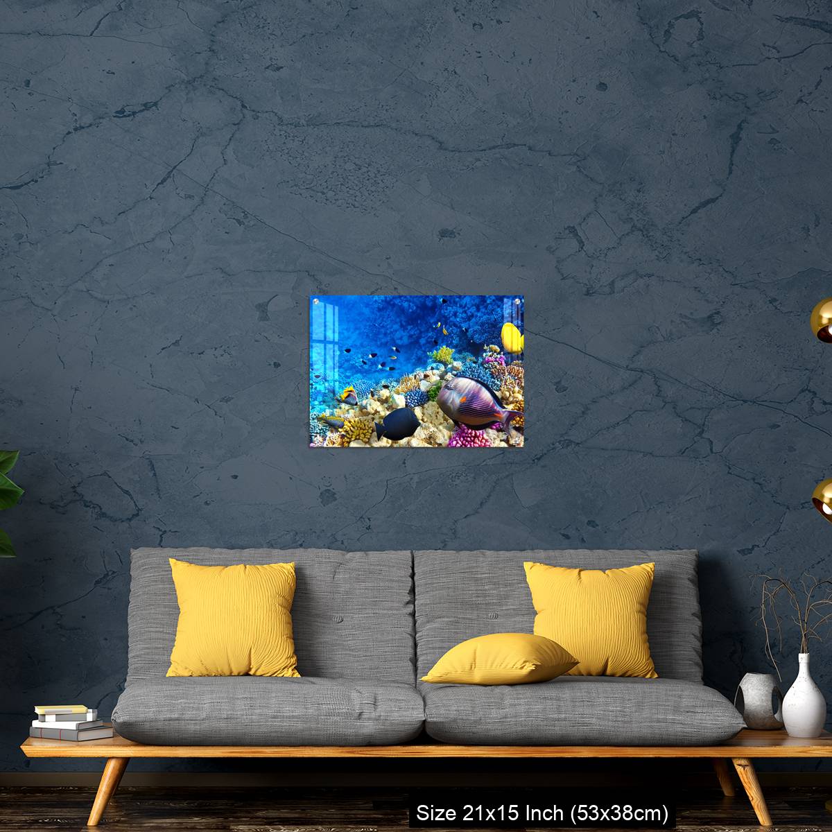 OMGs Acrylic Wall Decor – Coral and fish in the Red Sea. Egypt, Africa. - Image 21