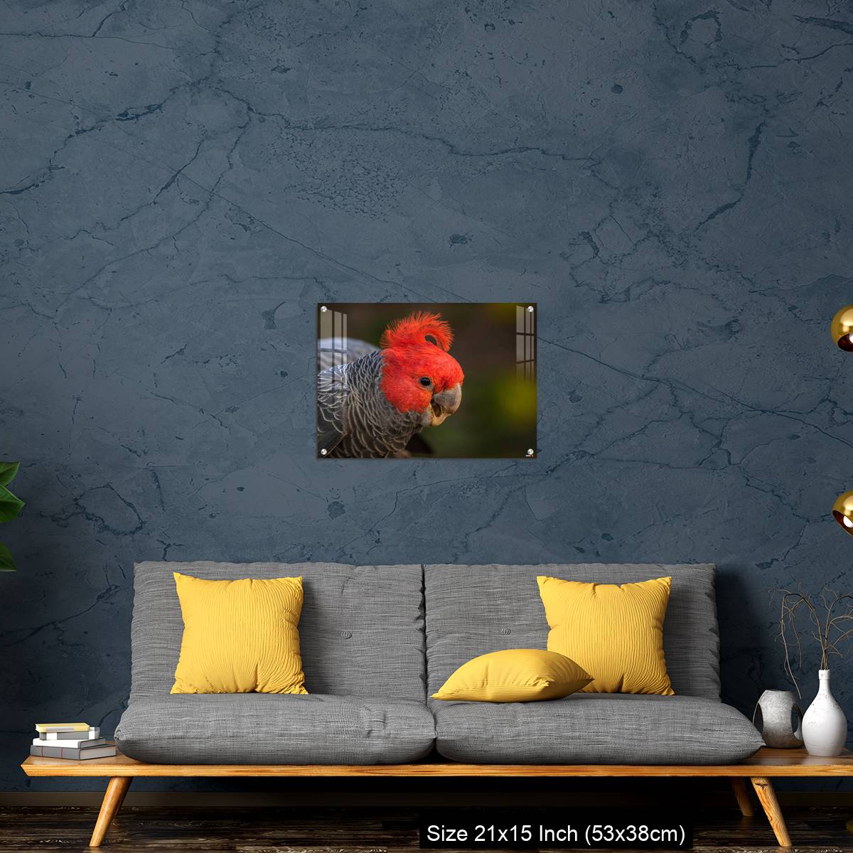 OMGs Acrylic Wall Decor – Gang-gang Cockatoo male eating food in a garden - Image 21