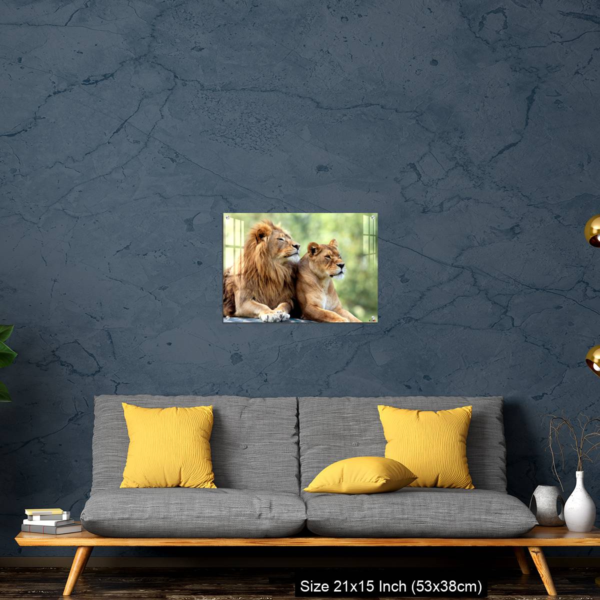 OMGs Acrylic Wall Decor – Pair of adult Lions in zoological garden - Image 21