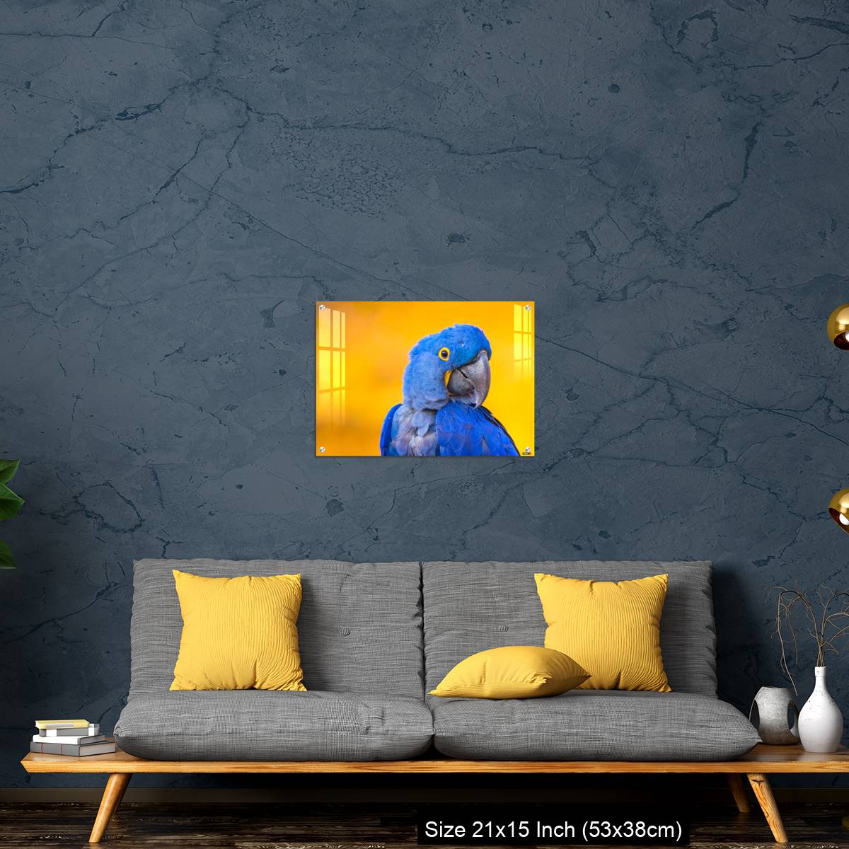 OMGs Acrylic Wall Decor – Portrait of big blue parrot Hyacinth Macaw - Image 21
