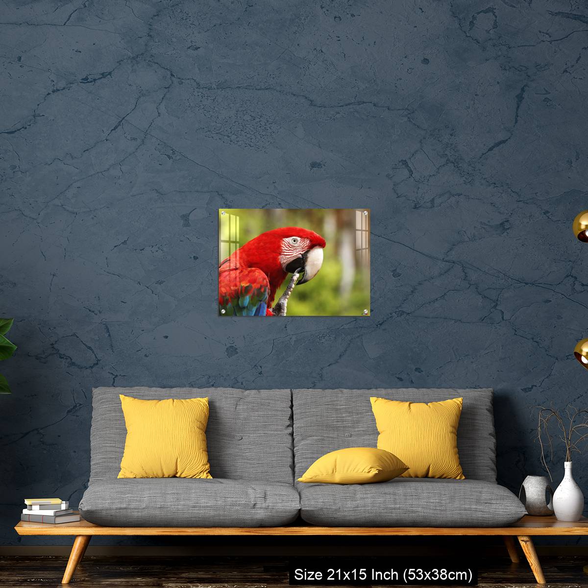 OMGs Acrylic Wall Decor – Red-and-Green Macaw, ara chloroptera, Portrait of Adult - Image 21
