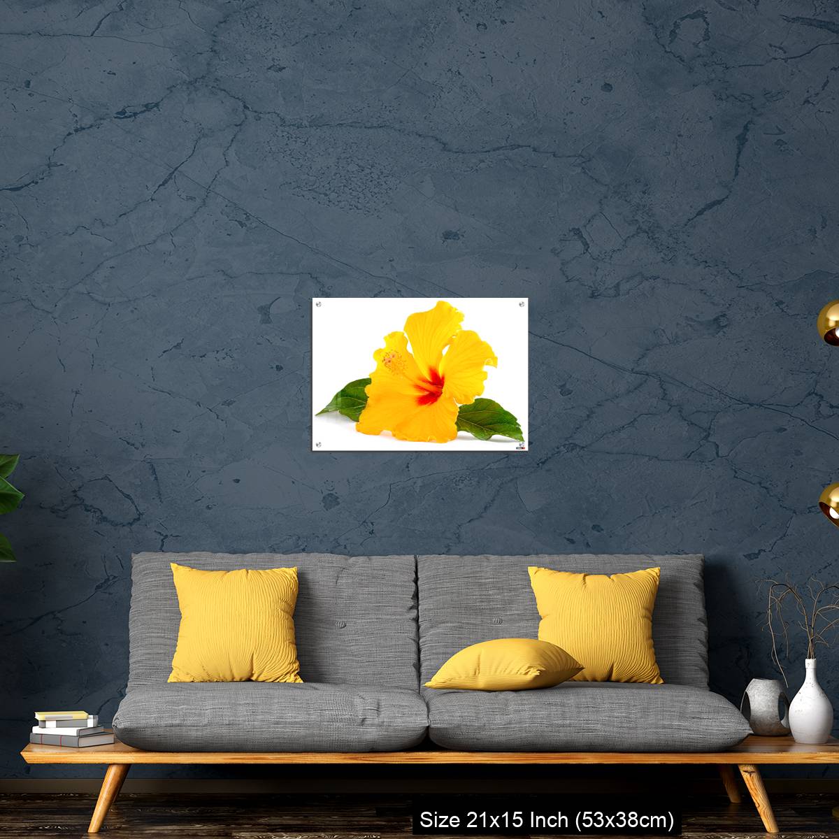 OMGs Acrylic Wall Decor – Tropical Yellow Hibiscus Flower isolated on white - Image 21