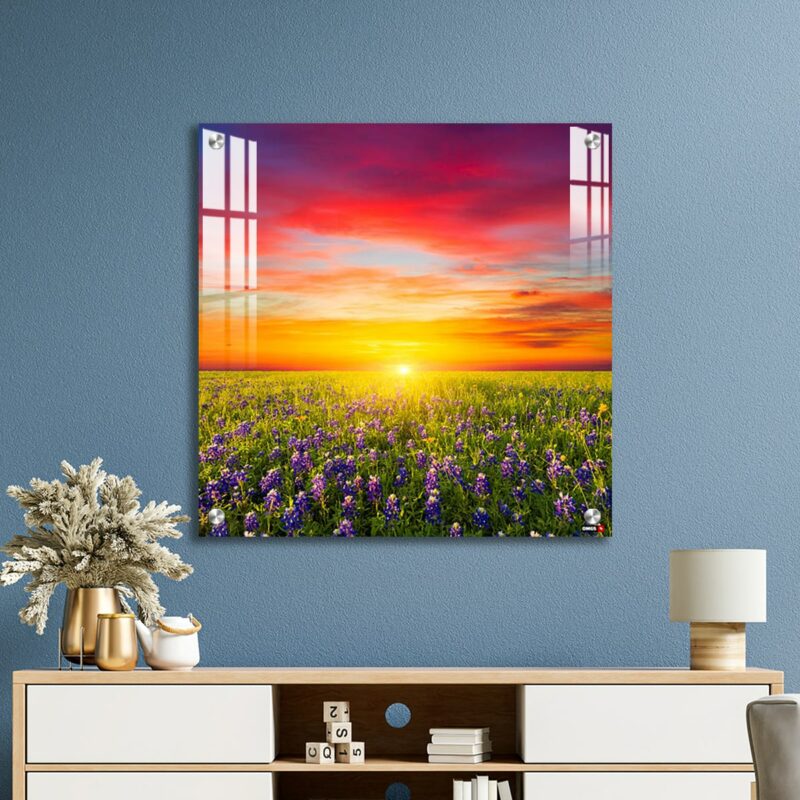 OMGs Acrylic Wall Decor - Texas Wildflowers