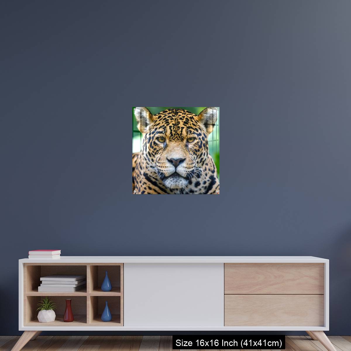 OMGs Acrylic Wall Decor – Jaguar looking at camera - Pantanal wetlands, Brazil - Image 22