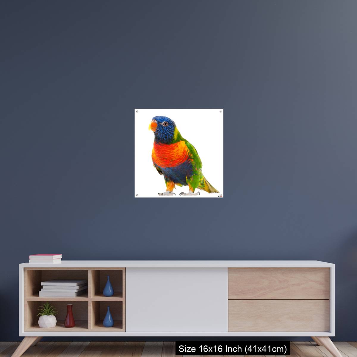 OMGs Acrylic Wall Decor – Rainbow Lorikeet, Trichoglossus haematodus - Image 22