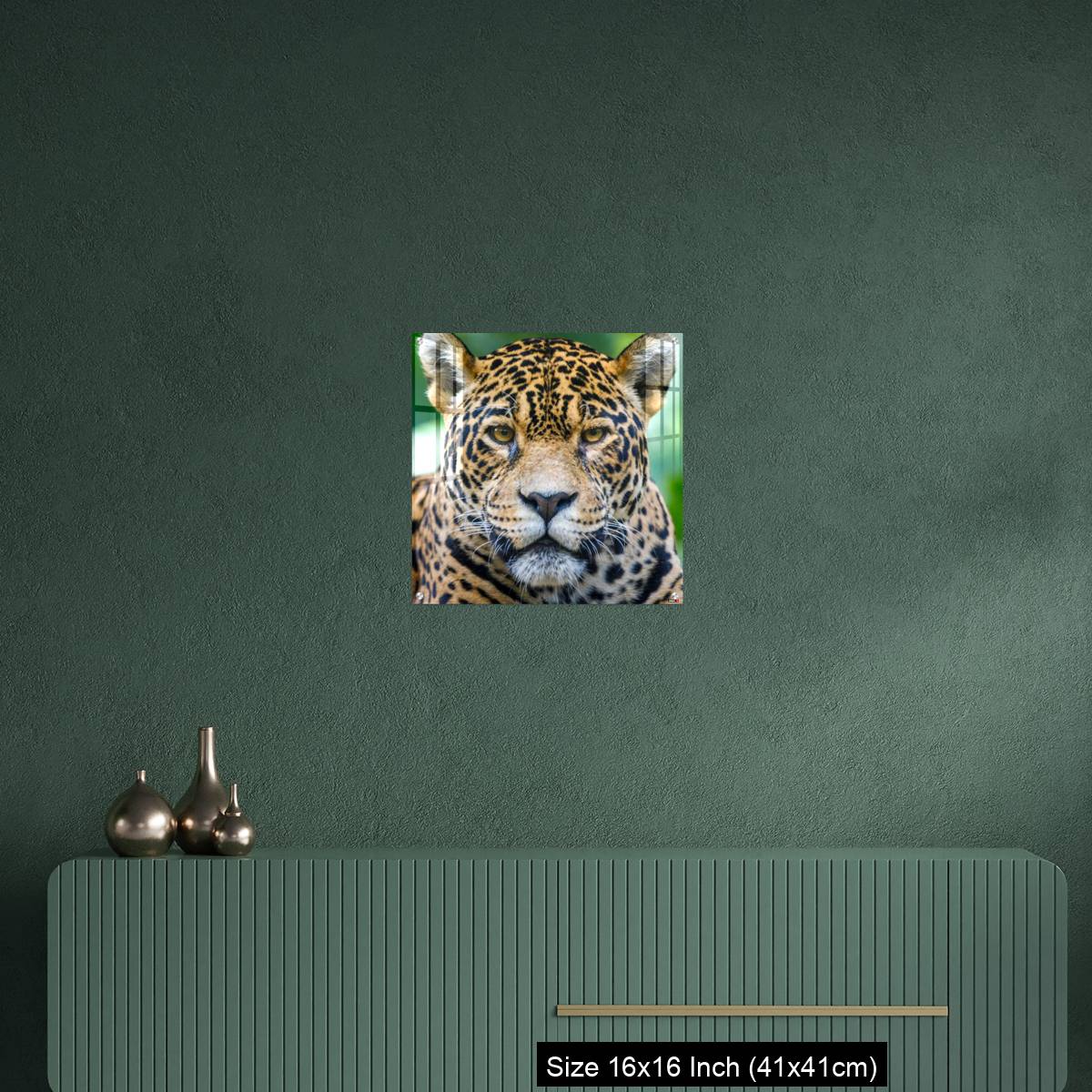 OMGs Acrylic Wall Decor – Jaguar looking at camera - Pantanal wetlands, Brazil - Image 23