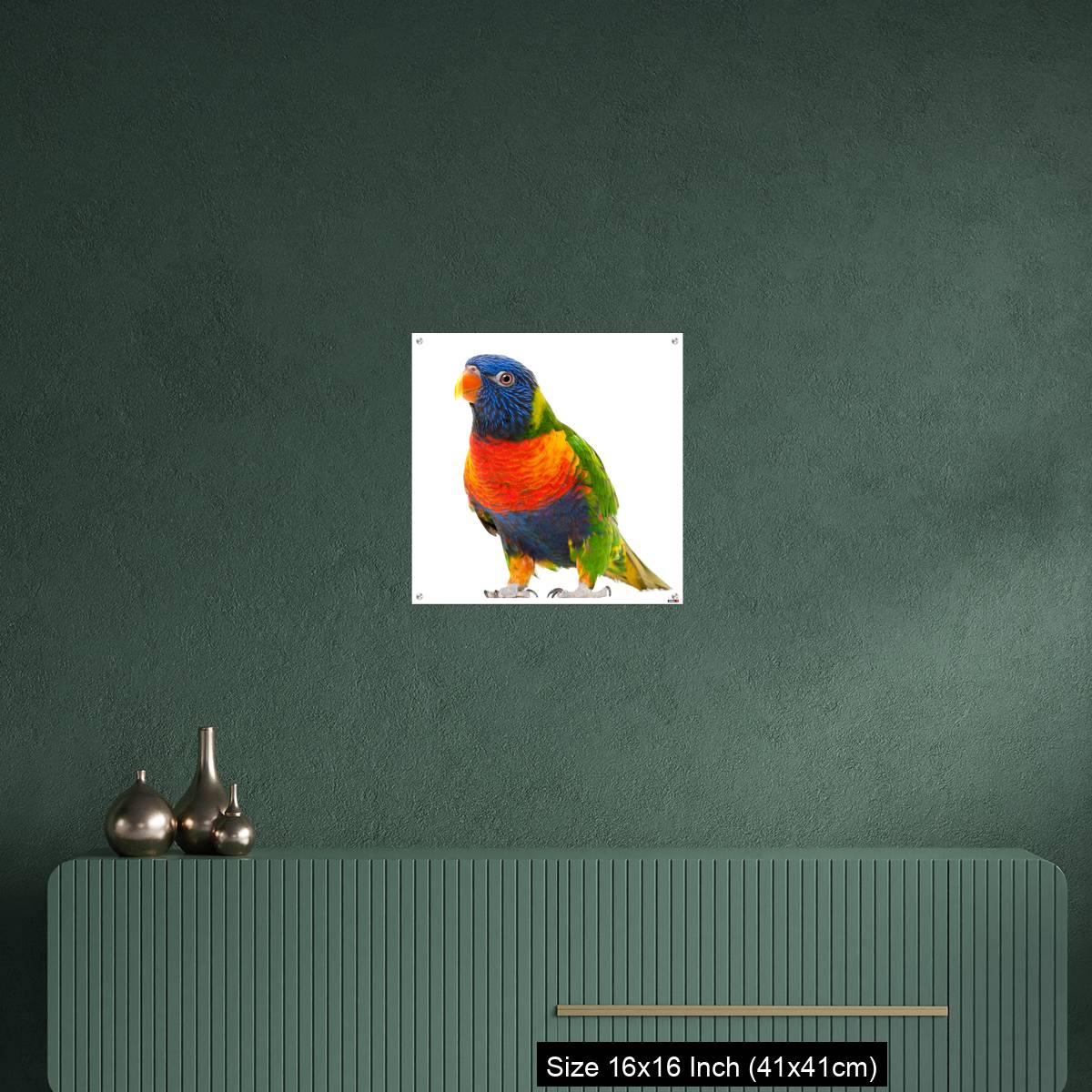 OMGs Acrylic Wall Decor – Rainbow Lorikeet, Trichoglossus haematodus - Image 23