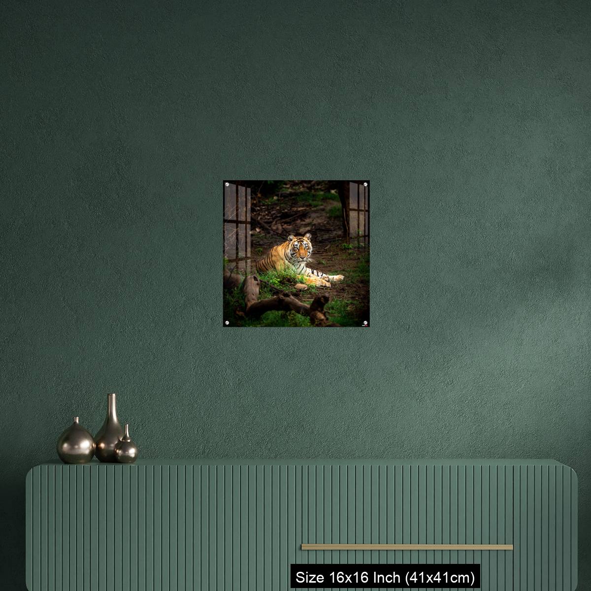 OMGs Acrylic Wall Decor – wild bengal male tiger - Image 23