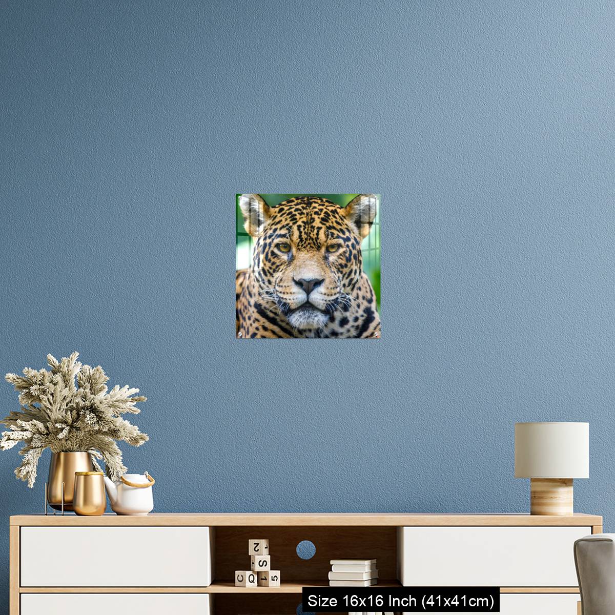 OMGs Acrylic Wall Decor – Jaguar looking at camera - Pantanal wetlands, Brazil - Image 24