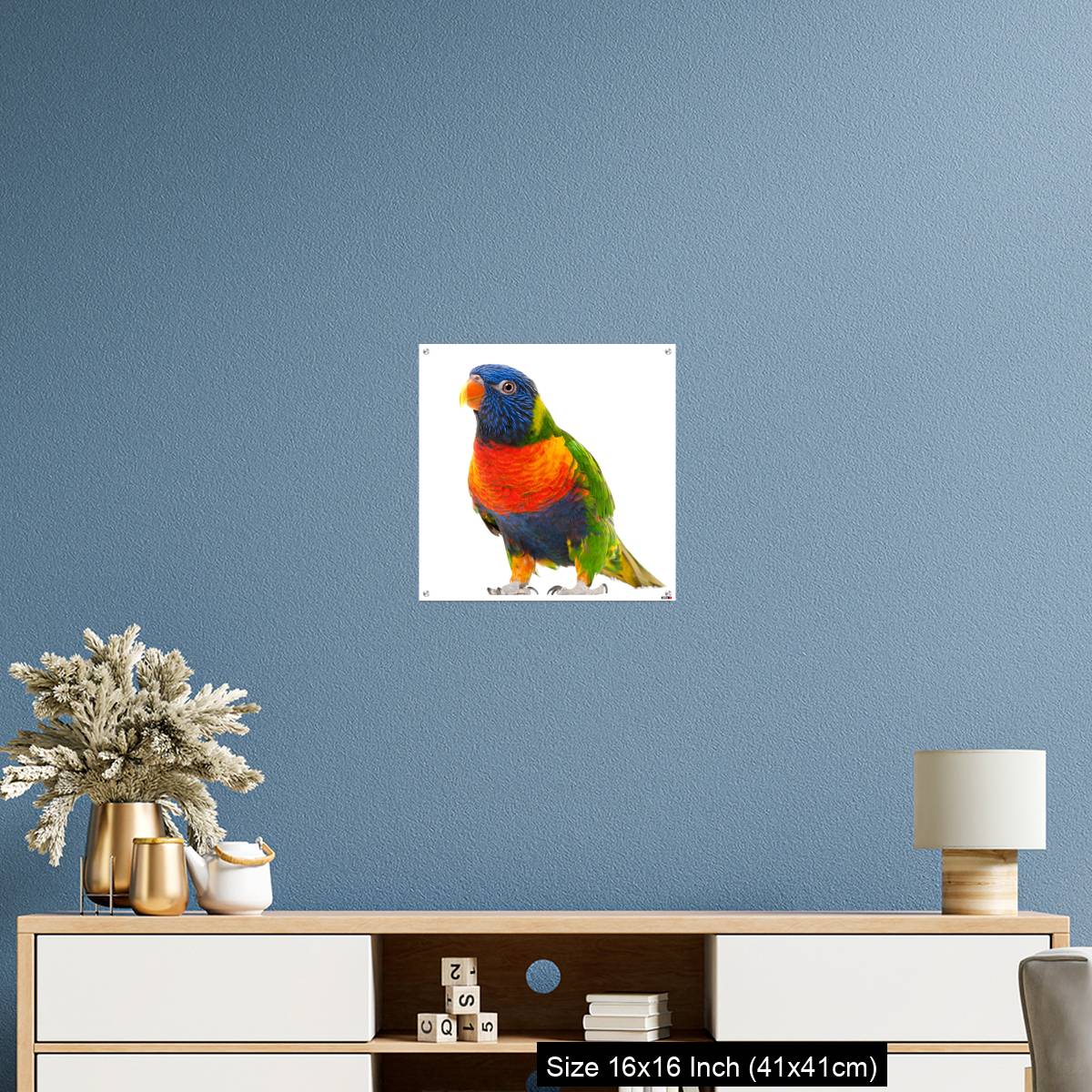 OMGs Acrylic Wall Decor – Rainbow Lorikeet, Trichoglossus haematodus - Image 24