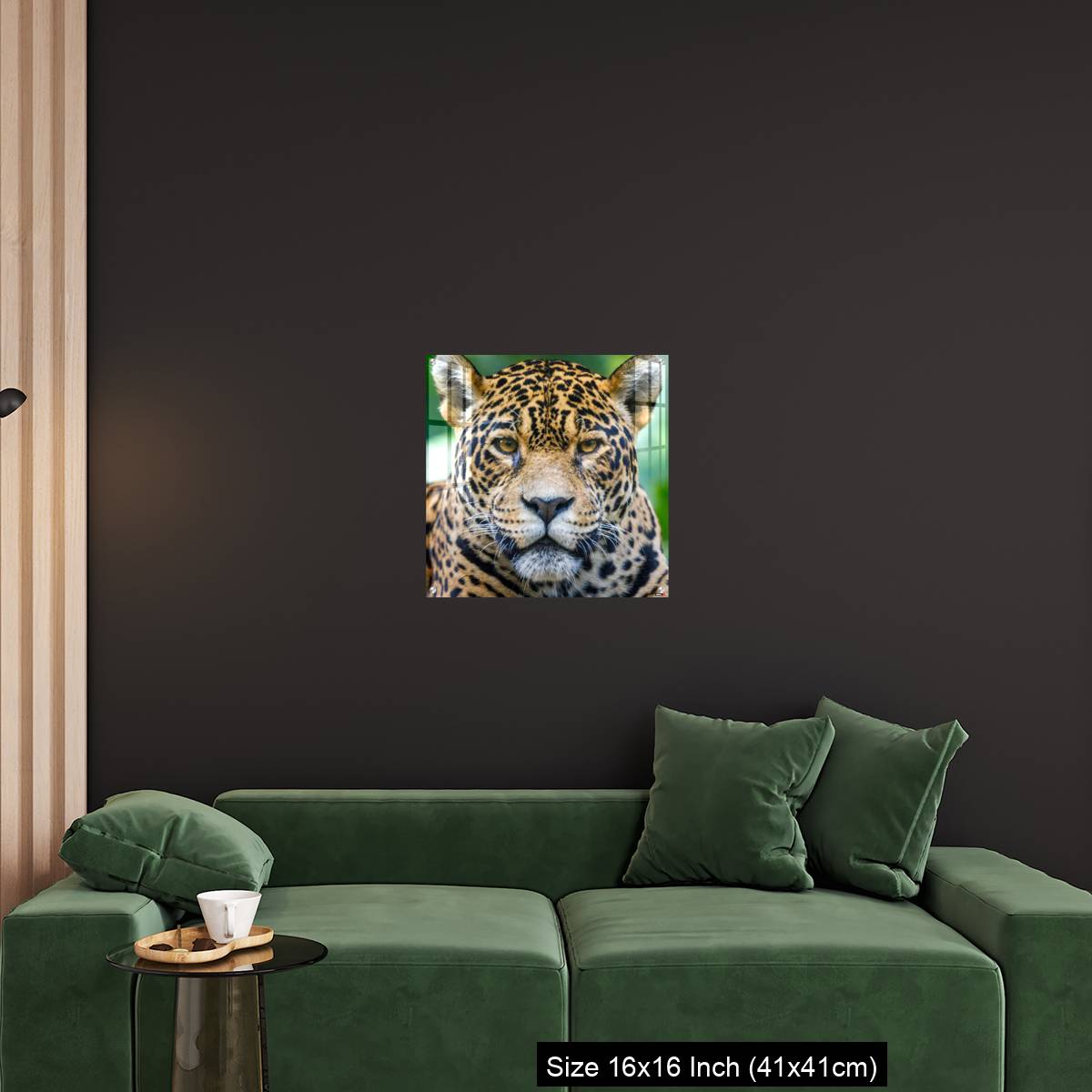 OMGs Acrylic Wall Decor – Jaguar looking at camera - Pantanal wetlands, Brazil - Image 25