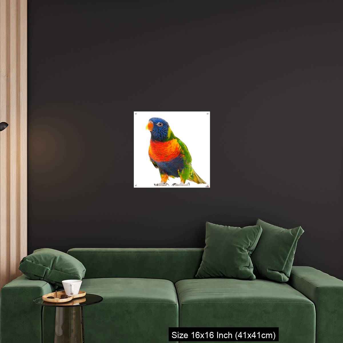 OMGs Acrylic Wall Decor – Rainbow Lorikeet, Trichoglossus haematodus - Image 25