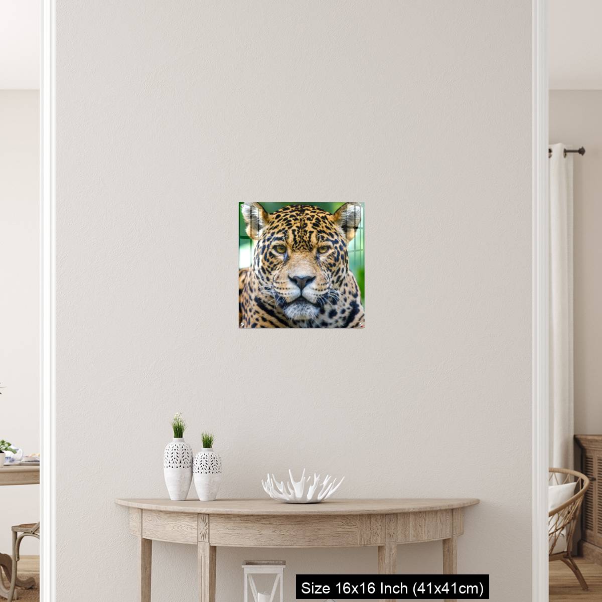 OMGs Acrylic Wall Decor – Jaguar looking at camera - Pantanal wetlands, Brazil - Image 26