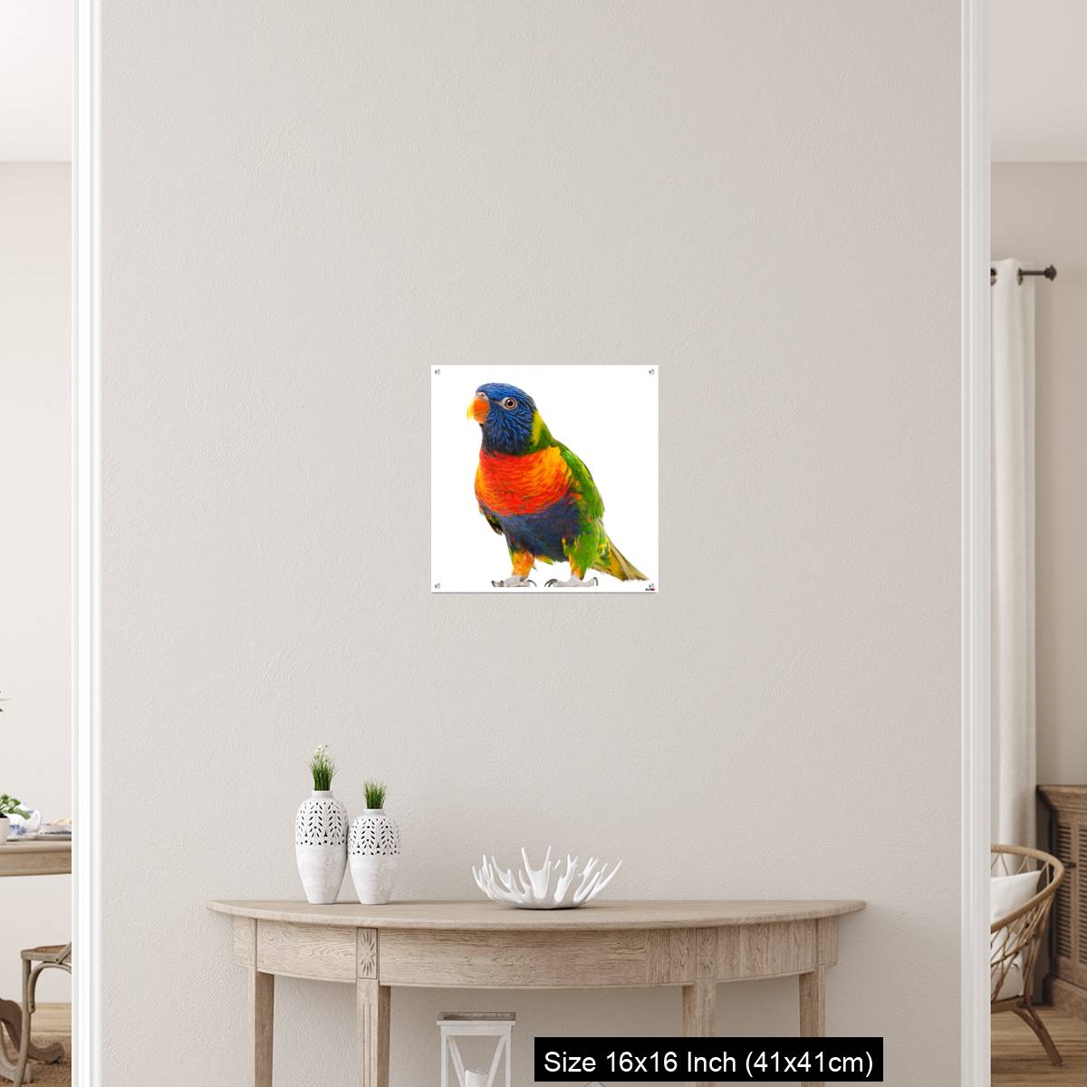 OMGs Acrylic Wall Decor – Rainbow Lorikeet, Trichoglossus haematodus - Image 26