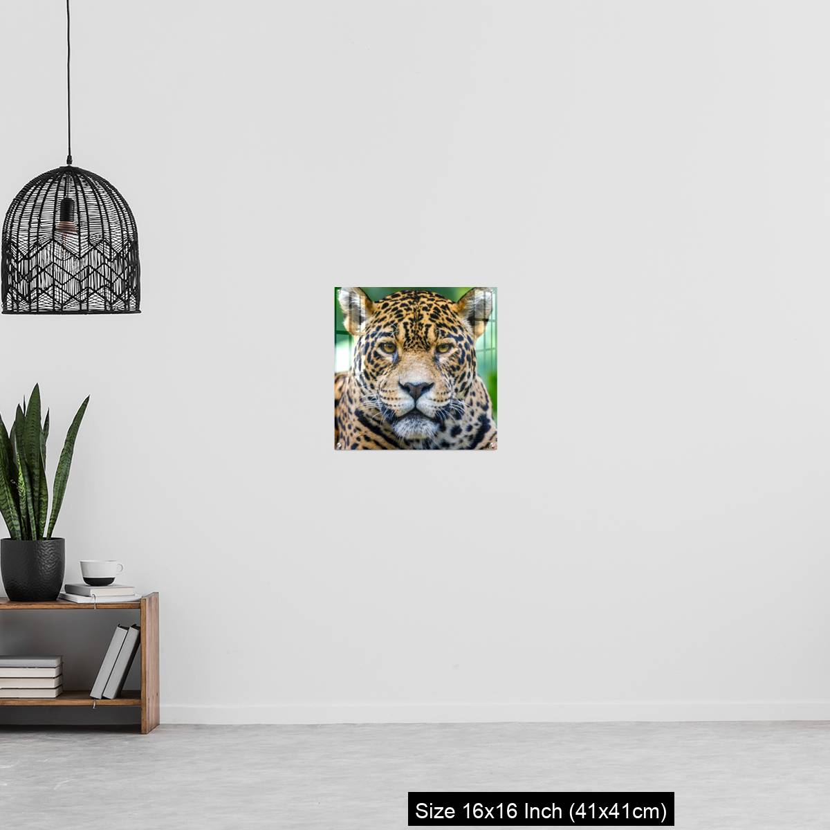 OMGs Acrylic Wall Decor – Jaguar looking at camera - Pantanal wetlands, Brazil - Image 27