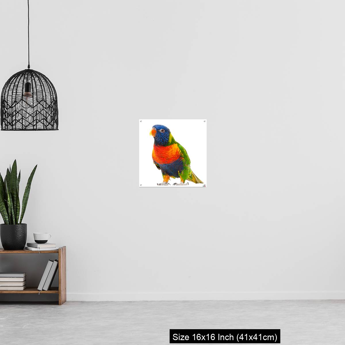OMGs Acrylic Wall Decor – Rainbow Lorikeet, Trichoglossus haematodus - Image 27