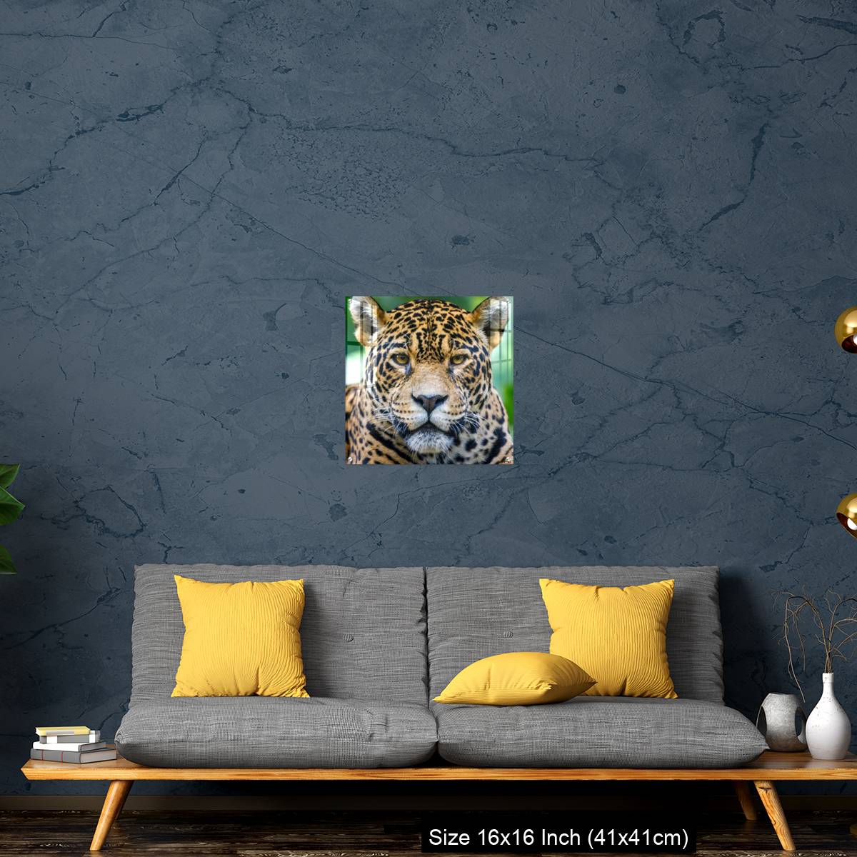 OMGs Acrylic Wall Decor – Jaguar looking at camera - Pantanal wetlands, Brazil - Image 28