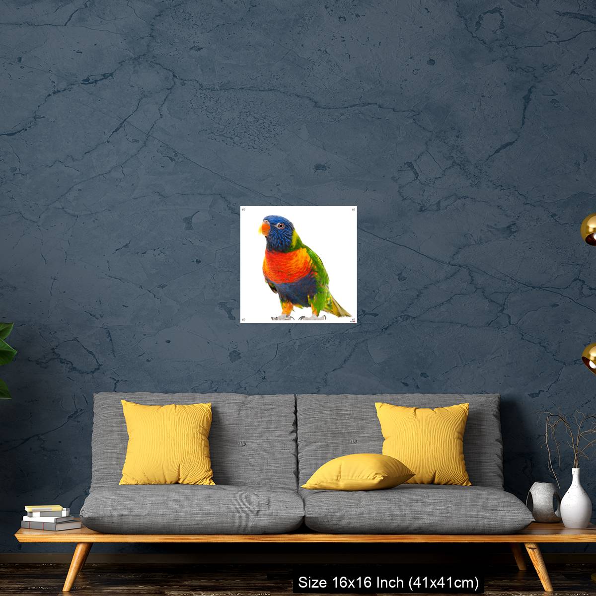 OMGs Acrylic Wall Decor – Rainbow Lorikeet, Trichoglossus haematodus - Image 28