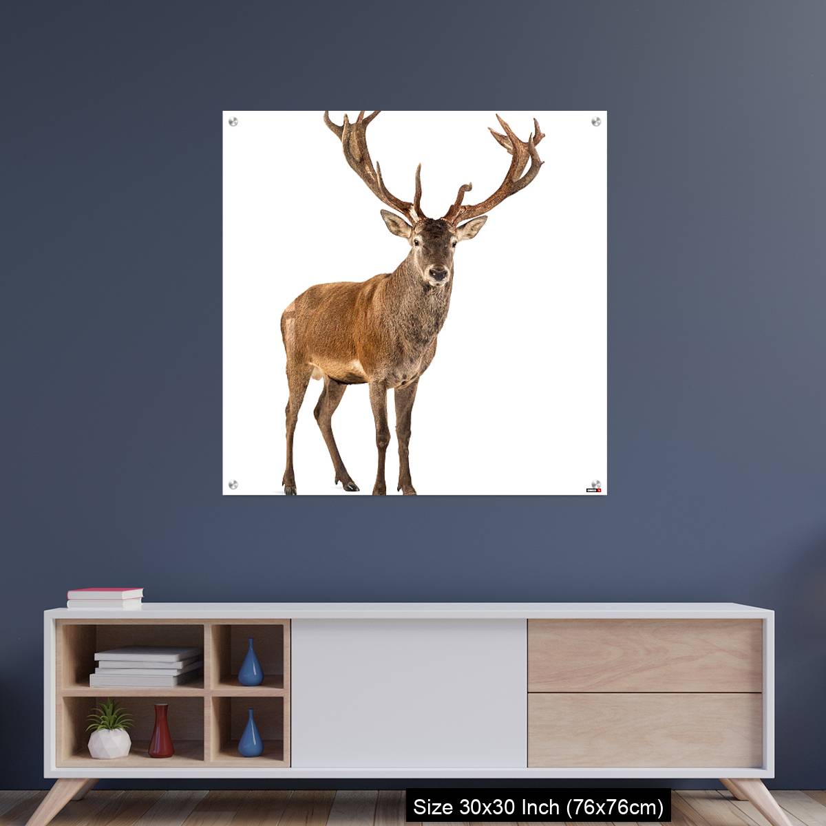 OMGs Acrylic Wall Decor – Red deer stag in front of a white background