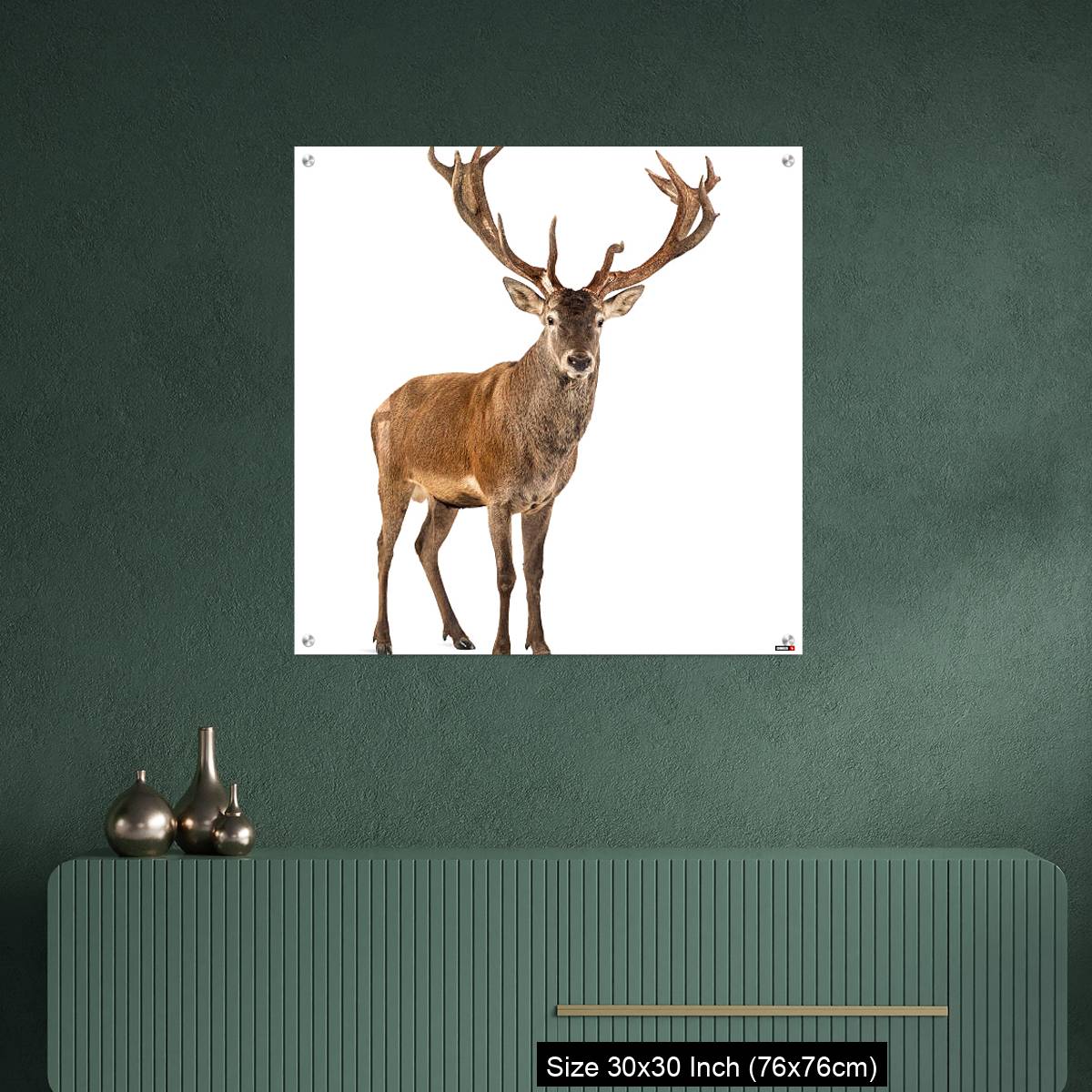 OMGs Acrylic Wall Decor – Red deer stag in front of a white background - Image 2