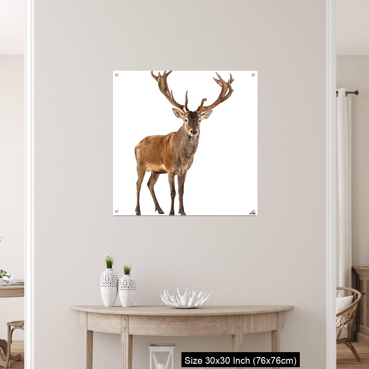 OMGs Acrylic Wall Decor – Red deer stag in front of a white background - Image 5