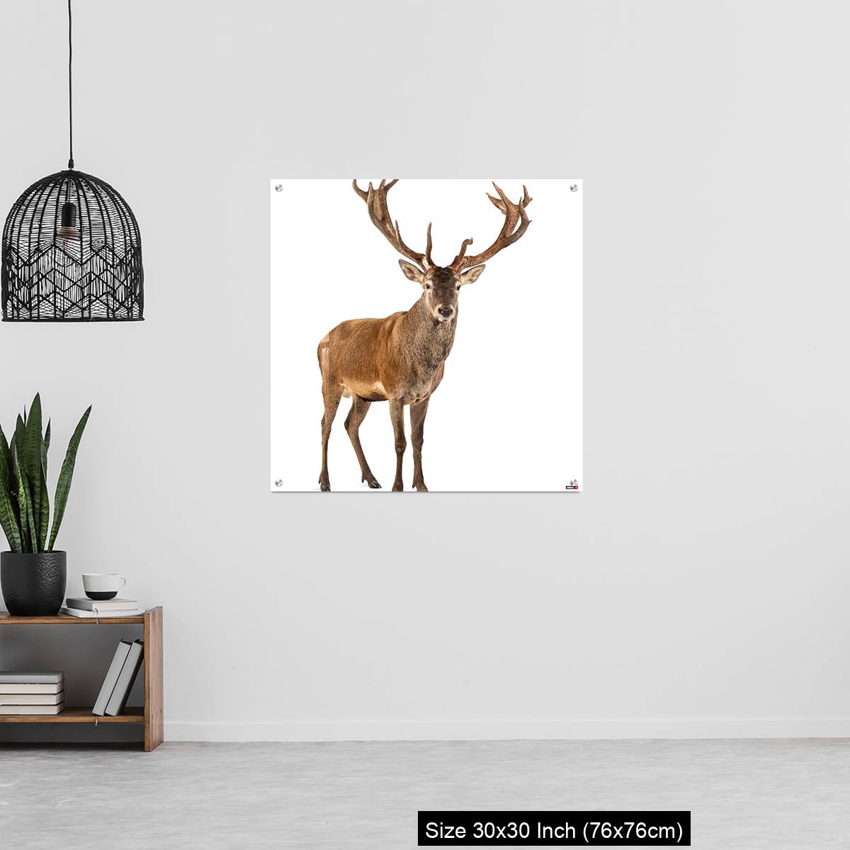 OMGs Acrylic Wall Decor – Red deer stag in front of a white background - Image 6