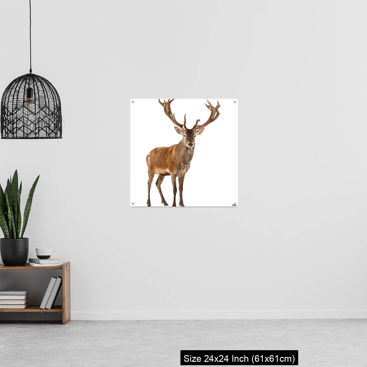 OMGs Acrylic Wall Decor – Red deer stag in front of a white background - Image 13