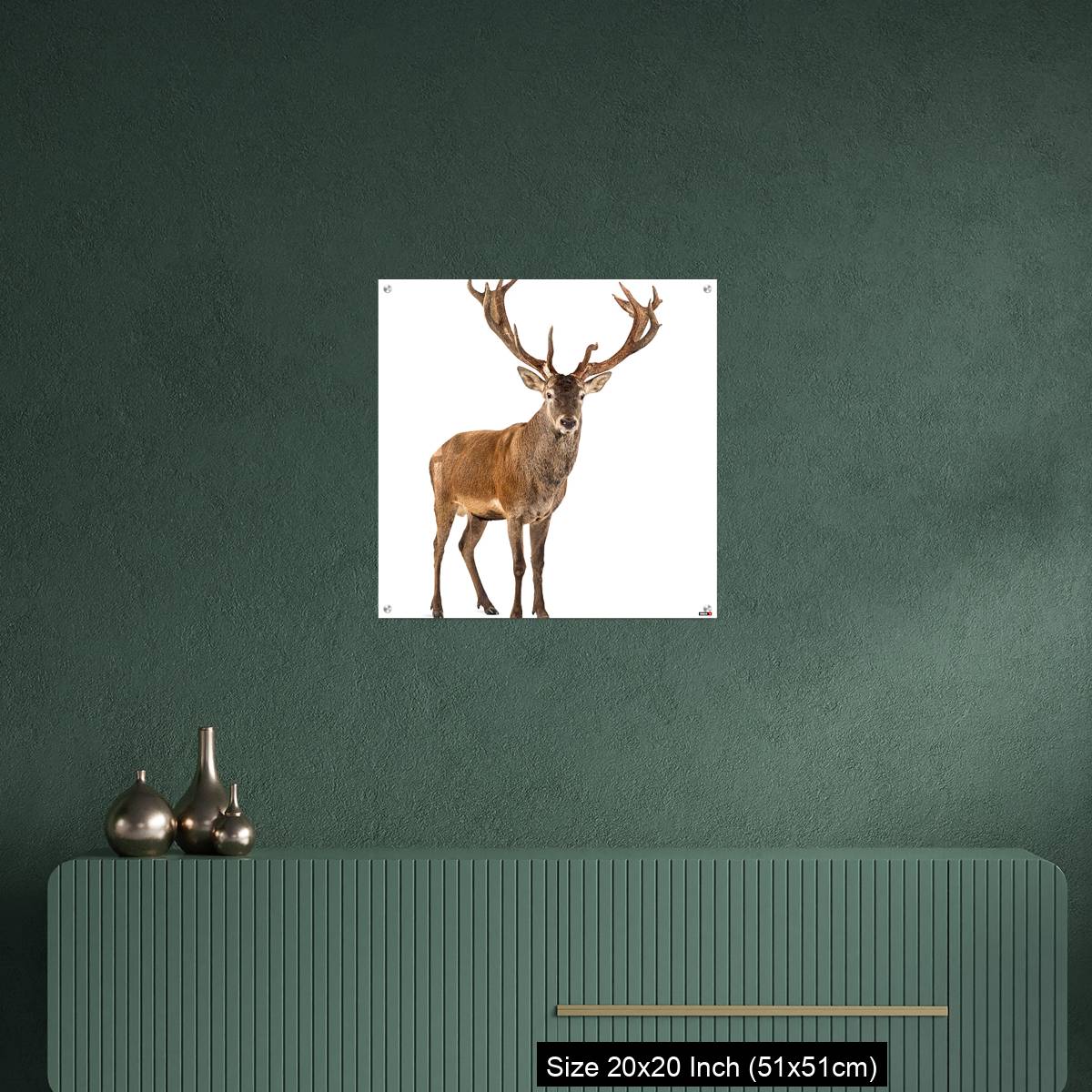 OMGs Acrylic Wall Decor – Red deer stag in front of a white background - Image 16