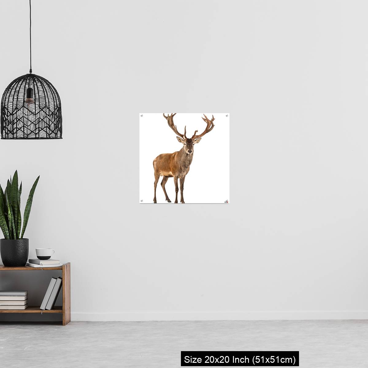 OMGs Acrylic Wall Decor – Red deer stag in front of a white background - Image 20