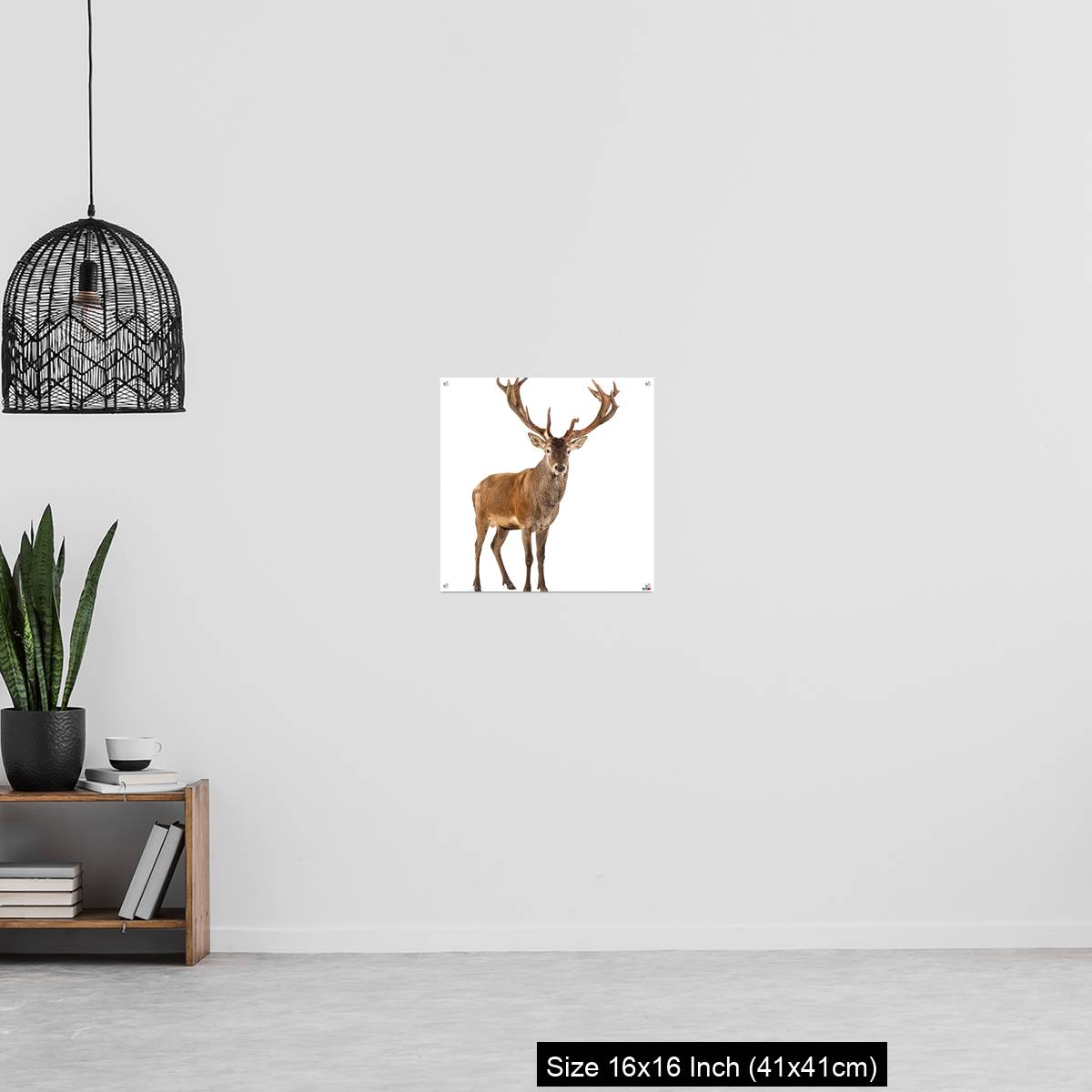 OMGs Acrylic Wall Decor – Red deer stag in front of a white background - Image 27