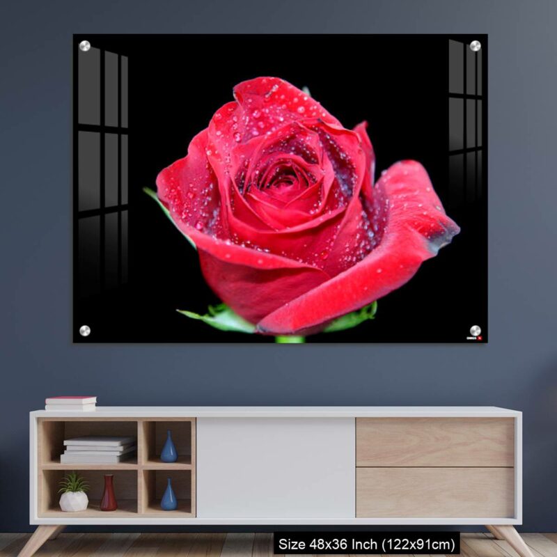 OMGs Acrylic Wall Decor – A red Rose