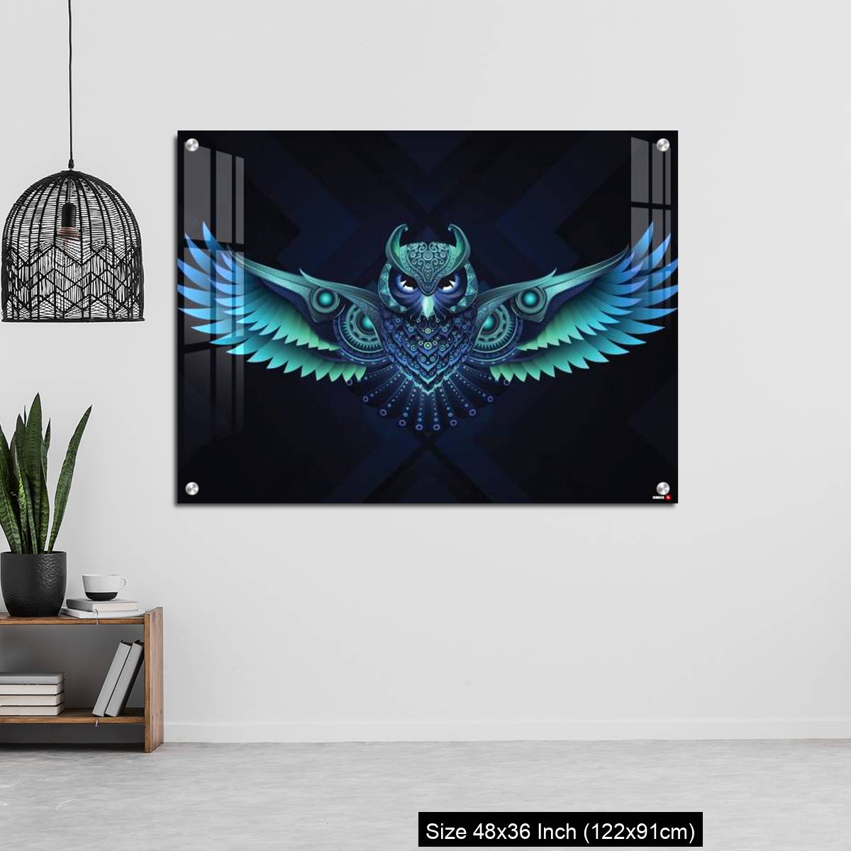 OMGs Acrylic Wall Decor Flying Owl. - Image 6