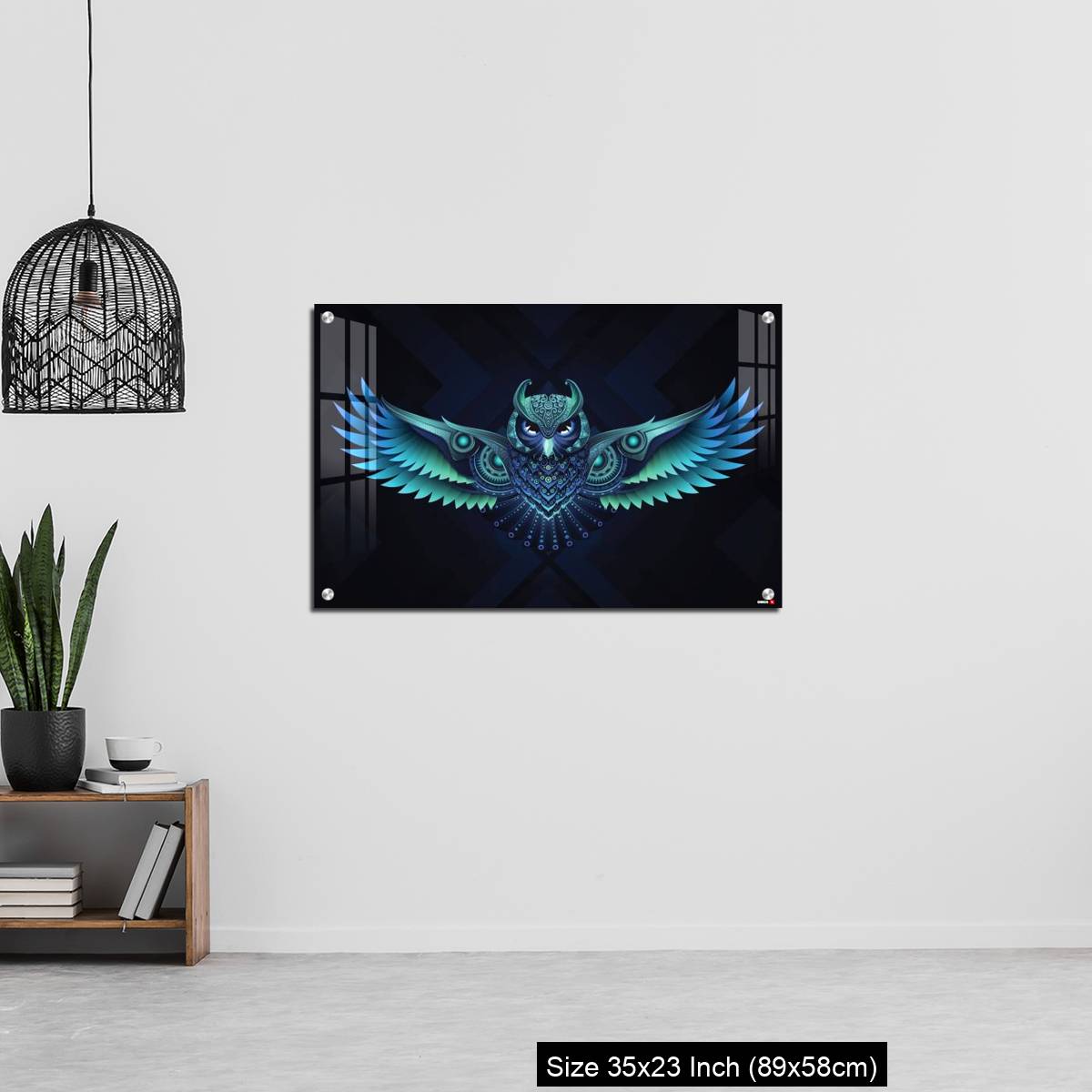 OMGs Acrylic Wall Decor Flying Owl. - Image 13
