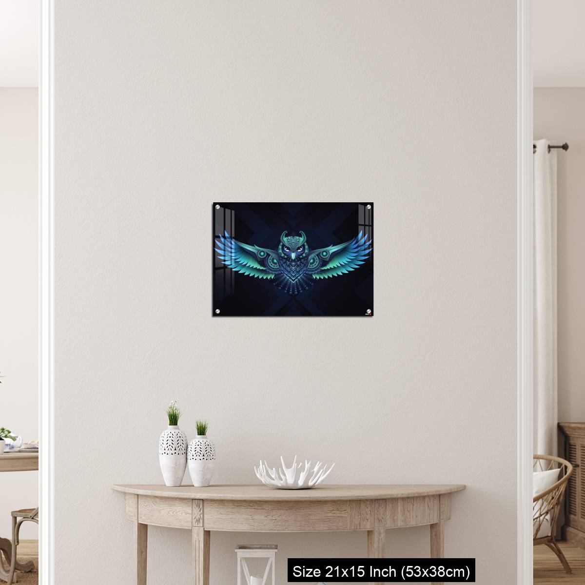 OMGs Acrylic Wall Decor Flying Owl. - Image 19