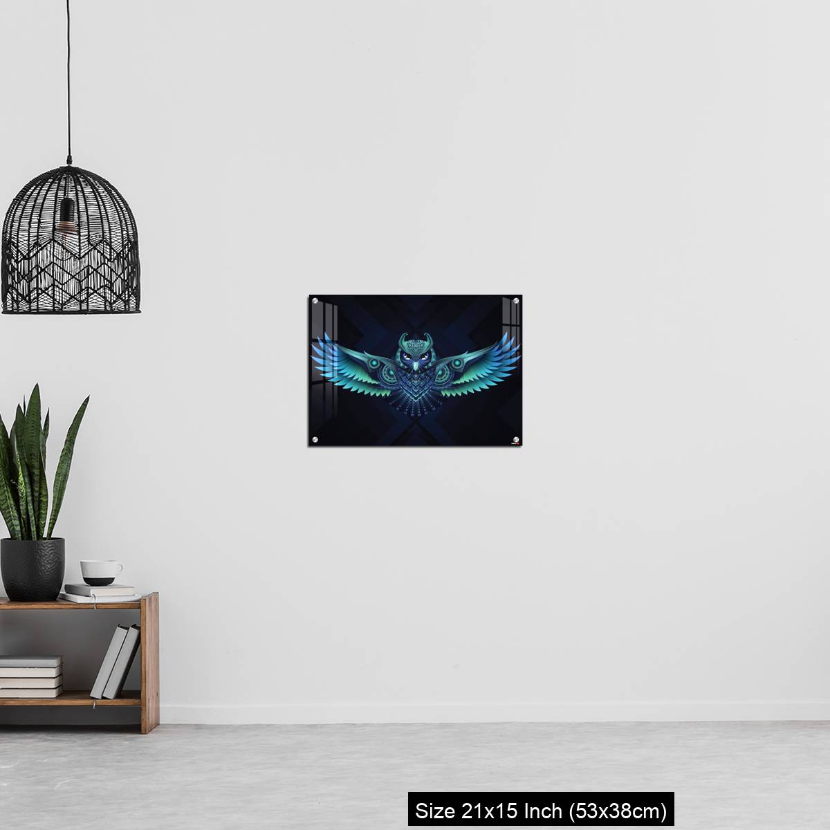 OMGs Acrylic Wall Decor Flying Owl. - Image 20