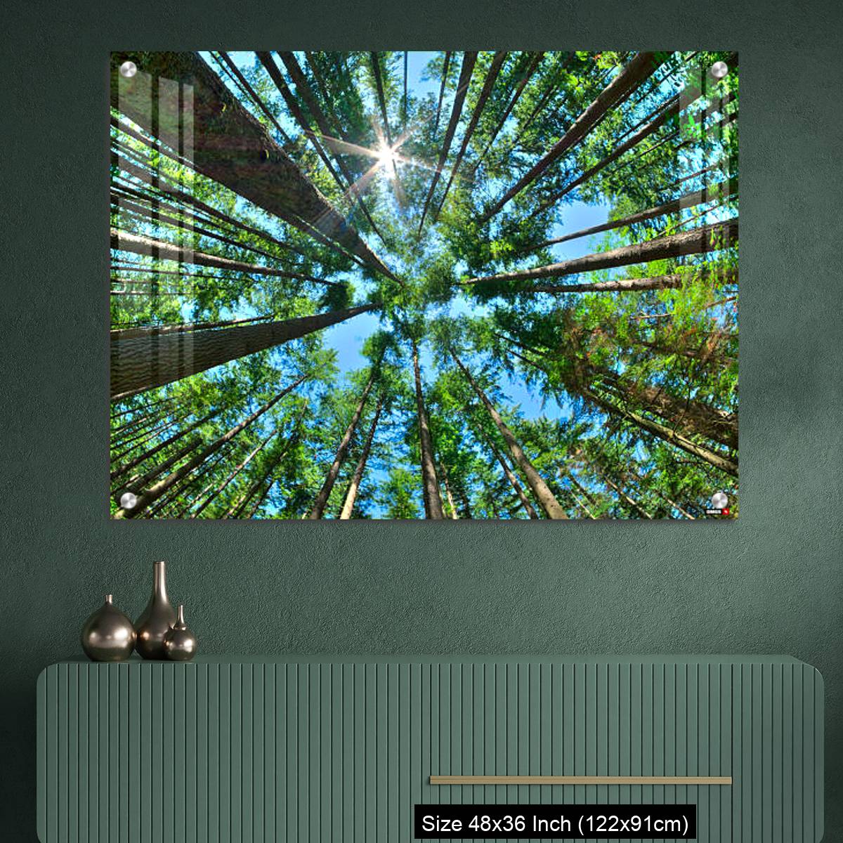 OMGs Acrylic Wall Decor – Look up in a dense pine forest - Image 2