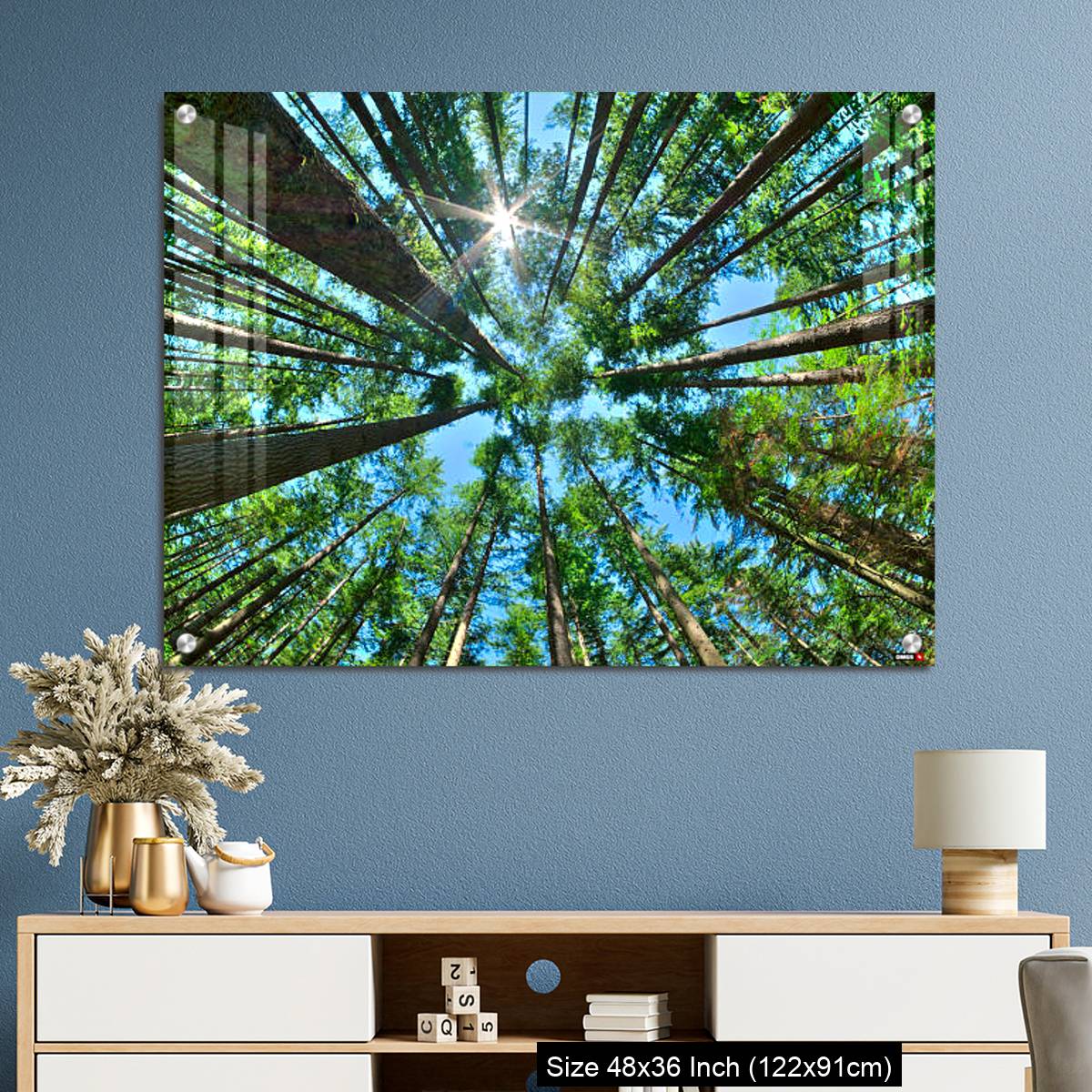 OMGs Acrylic Wall Decor – Look up in a dense pine forest - Image 3