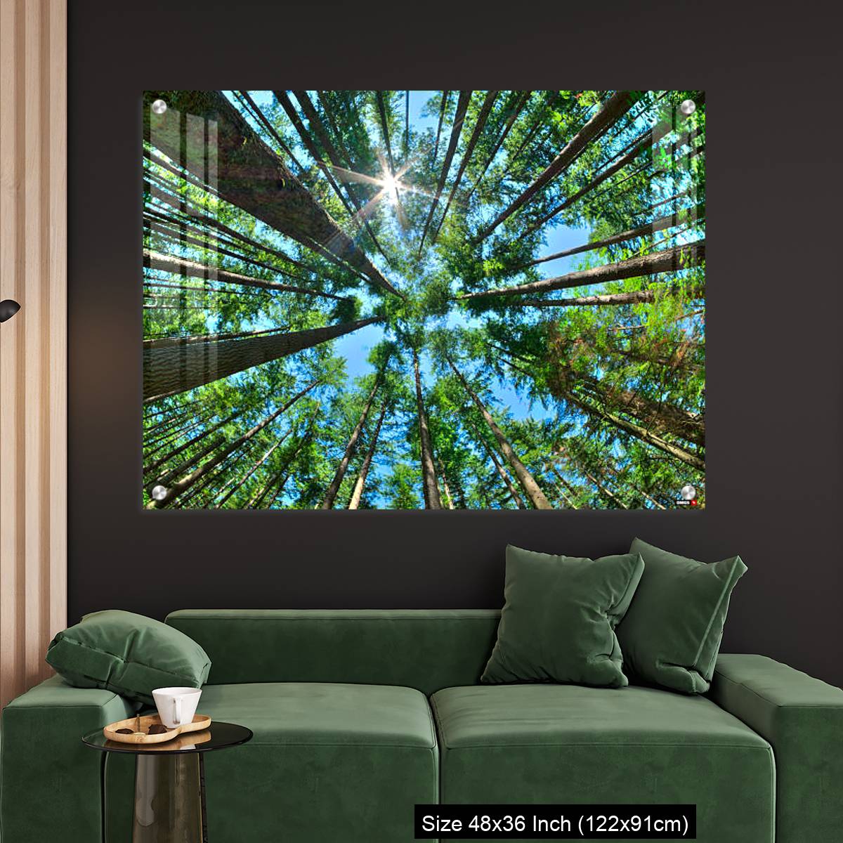 OMGs Acrylic Wall Decor – Look up in a dense pine forest - Image 4