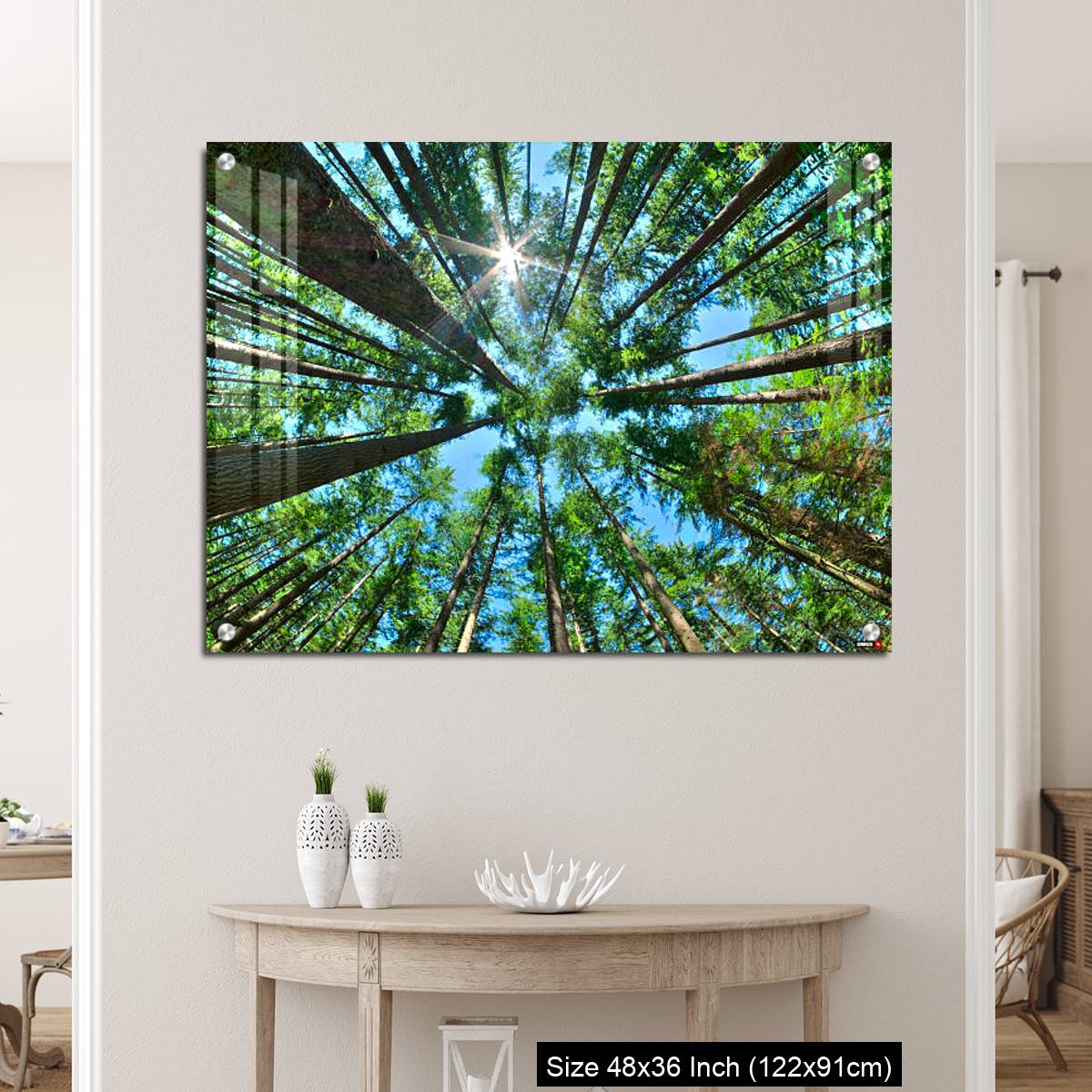 OMGs Acrylic Wall Decor – Look up in a dense pine forest - Image 5