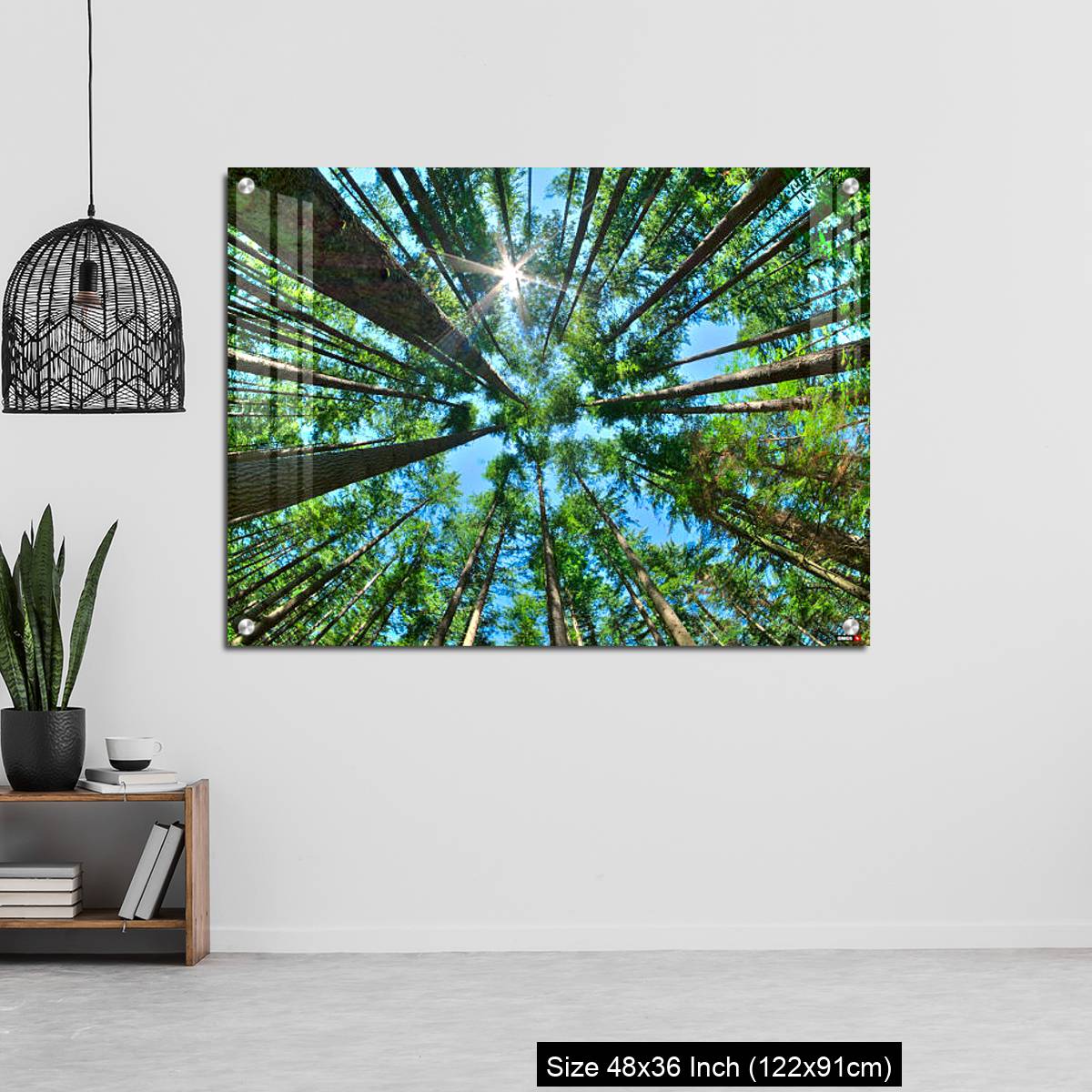 OMGs Acrylic Wall Decor – Look up in a dense pine forest - Image 6
