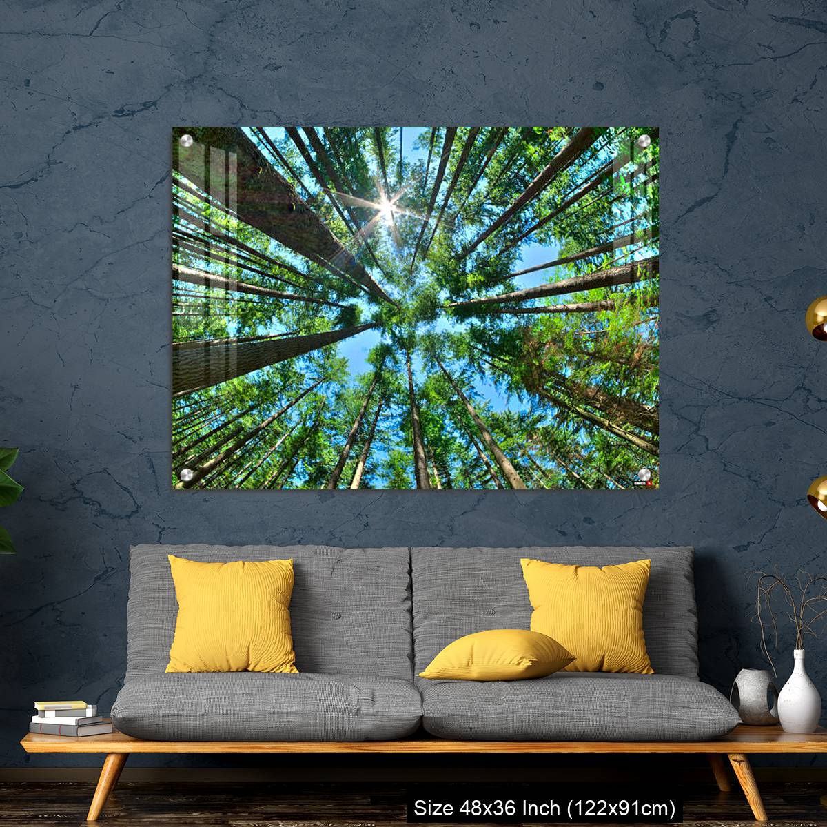 OMGs Acrylic Wall Decor – Look up in a dense pine forest - Image 7