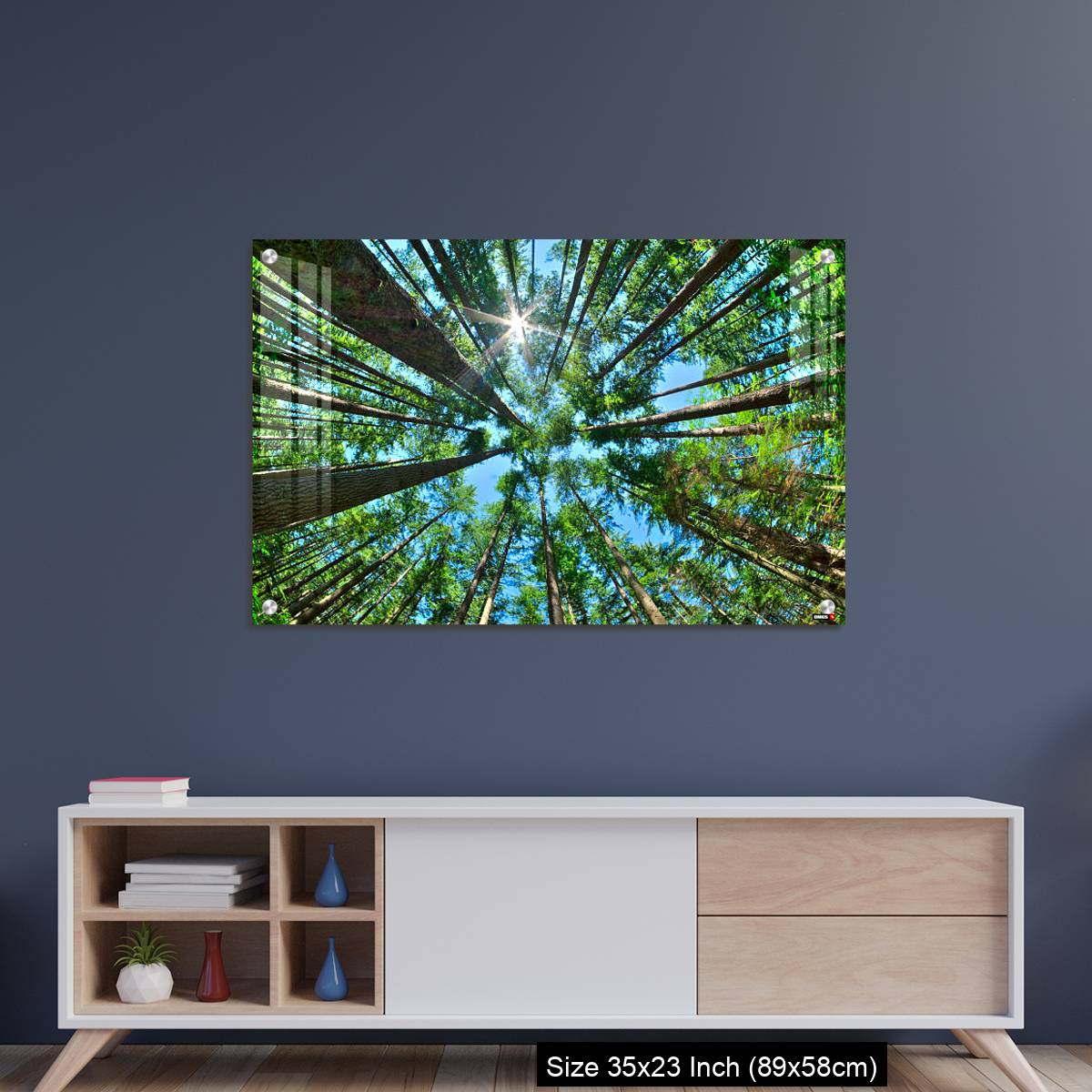 OMGs Acrylic Wall Decor – Look up in a dense pine forest - Image 8