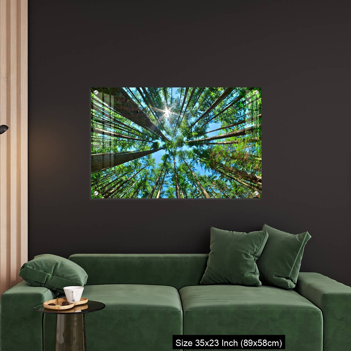 OMGs Acrylic Wall Decor – Look up in a dense pine forest - Image 11