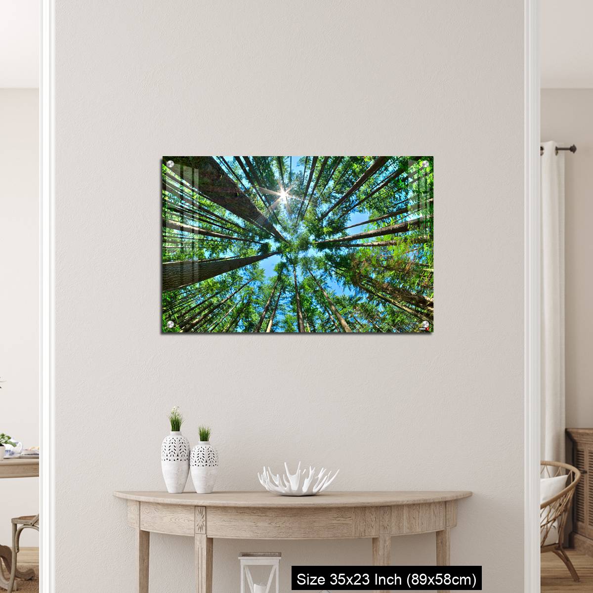 OMGs Acrylic Wall Decor – Look up in a dense pine forest - Image 12