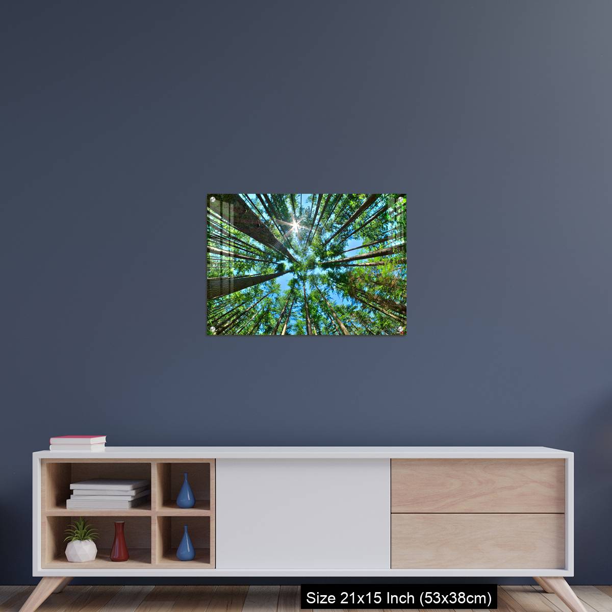 OMGs Acrylic Wall Decor – Look up in a dense pine forest - Image 15