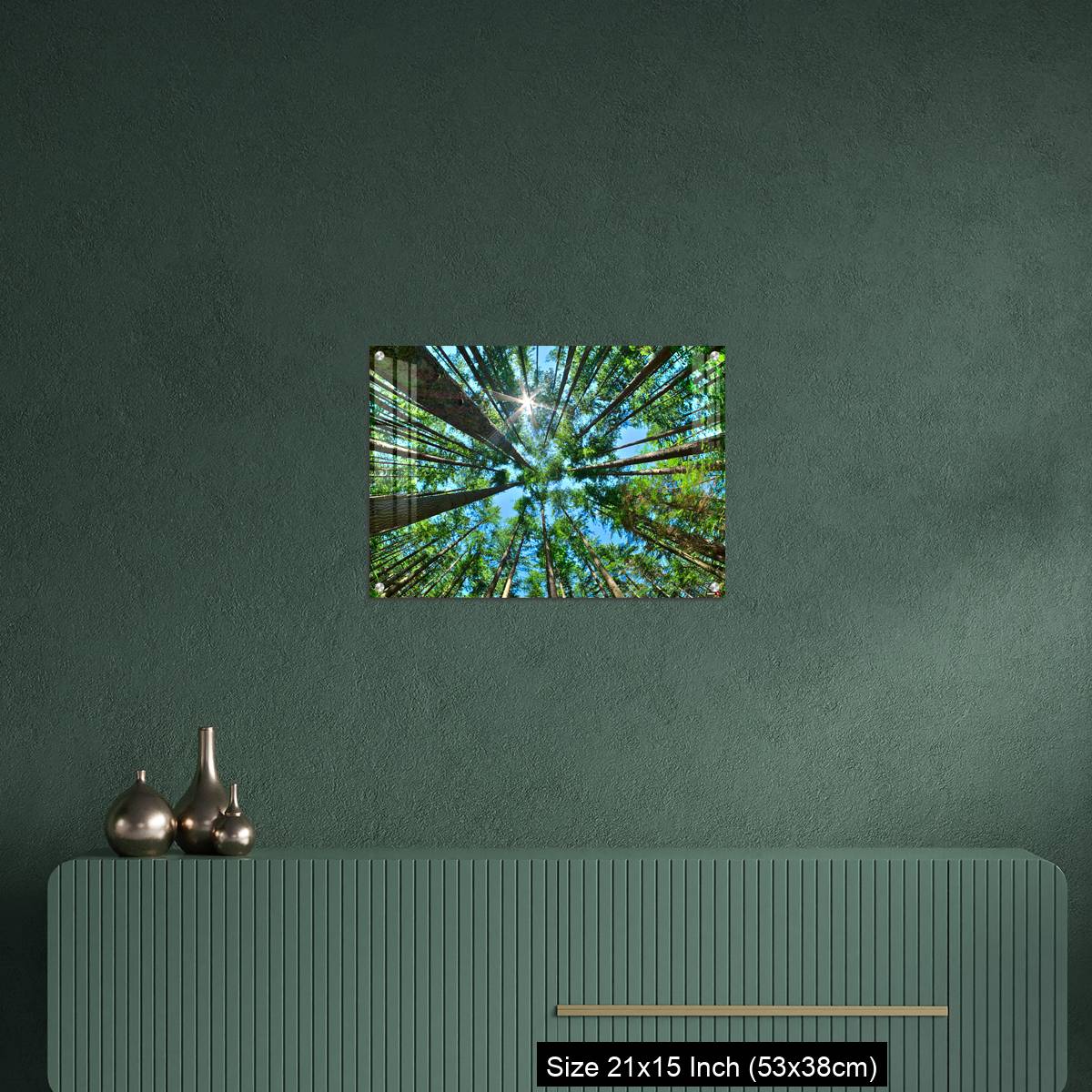 OMGs Acrylic Wall Decor – Look up in a dense pine forest - Image 16