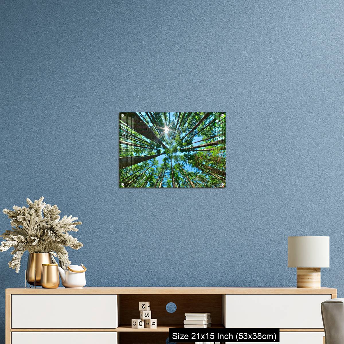OMGs Acrylic Wall Decor – Look up in a dense pine forest - Image 17